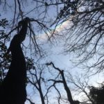 石切⭐️ 2018ことのは国際ハイク部（下見）